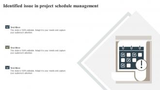 Identified Issue In Project Schedule Management