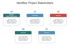 Identifies project stakeholders ppt powerpoint presentation deck cpb