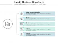 Identify business opportunity ppt powerpoint presentation professional guide cpb
