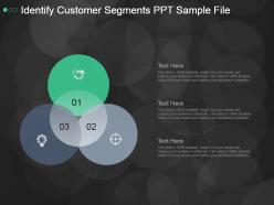 Identify customer segments ppt sample file