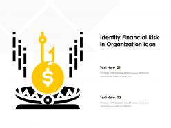 Identify Financial Risk In Organization Icon