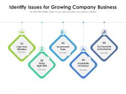 Identify issues for growing company business