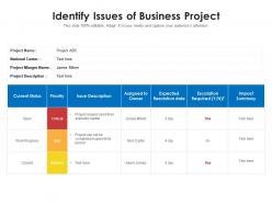 Identify issues of business project