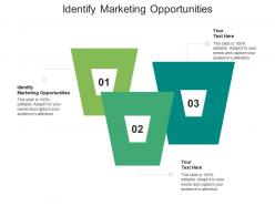 Identify marketing opportunities ppt powerpoint presentation styles maker cpb