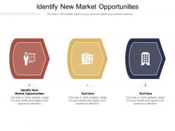 Identify new market opportunities ppt powerpoint presentation summary ideas cpb