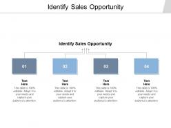 Identify sales opportunity ppt powerpoint presentation professional graphics download cpb