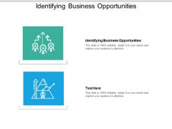 Identifying business opportunities ppt powerpoint presentation gallery background cpb