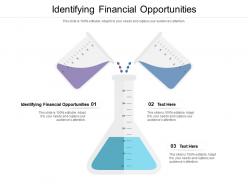 Identifying financial opportunities ppt powerpoint presentation professional example cpb