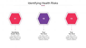 Identifying Health Risks Ppt Powerpoint Presentation Professional Rules Cpb