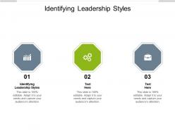 Identifying leadership styles ppt powerpoint presentation professional cpb