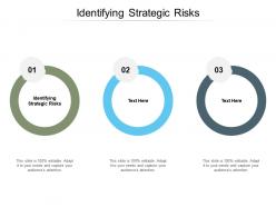 Identifying strategic risks ppt powerpoint presentation show files cpb