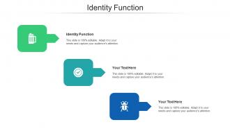Identity Function Ppt Powerpoint Presentation Professional Example Cpb