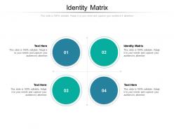 Identity matrix ppt powerpoint presentation infographics deck cpb