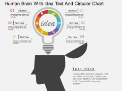 Ih human brain with idea text and circular chart flat powerpoint design