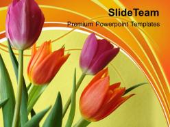 Illustration of colorful tulip flowers powerpoint templates ppt backgrounds for slides 0213