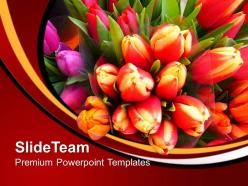 Image of colorful tulips flowers powerpoint templates ppt backgrounds for slides 0213