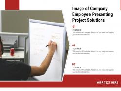 Image of company employee presenting project solutions