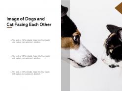 Image of dogs and cat facing each other
