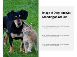 Image of dogs and cat standing on ground
