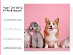 Image Of Dogs And Cat With Pink Background