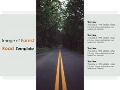 Image of forest road template