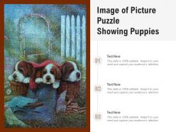 Image of picture puzzle showing puppies
