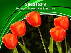 Image of red tulips powerpoint templates ppt backgrounds for slides 0213