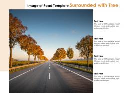 Image of road template surrounded with tree