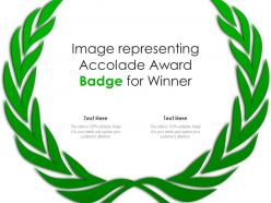 Image representing accolade award badge for winner