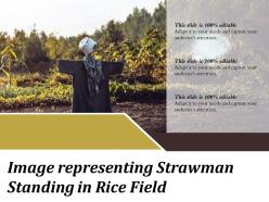 Image representing strawman standing in rice field