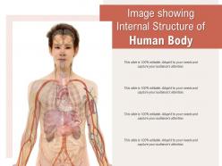 Image showing internal structure of human body