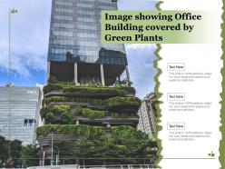 Image showing office building covered by green plants