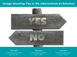 Image showing yes or no alternatives to solution