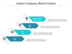 Impact company brand culture ppt powerpoint presentation summary infographics cpb