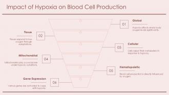 Impact Of Hypoxia On Blood Cell Production PPT Graphics ACP