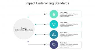 Impact underwriting standards ppt powerpoint presentation portfolio format ideas cpb