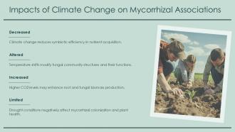 Impacts Of Climate Change On Mycorrhizal Associations PPT PowerPoint ACP