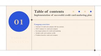 Implementation Of Successful Credit Card Marketing Plan Strategy CD V Colorful Appealing