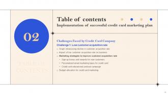 Implementation Of Successful Credit Card Marketing Plan Strategy CD V Professionally Appealing
