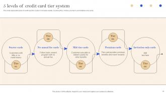 Implementation Of Successful Credit Card Marketing Plan Strategy CD V Engaging Informative