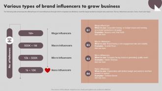 Implementing Marketing Strategies Various Types Of Brand Influencers To Grow Business MKT SS V