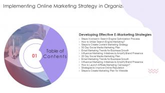 Implementing Online Marketing Strategy In Organization Table Of Contents
