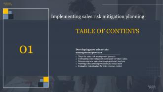 Implementing Sales Risk Mitigation Planning For Table Of Contents