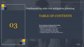 Implementing Sales Risk Mitigation Planning Powerpoint Presentation Slides V Image Researched