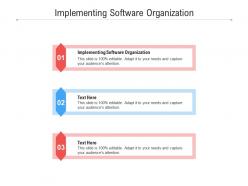 Implementing software organization ppt powerpoint presentation portfolio skills cpb