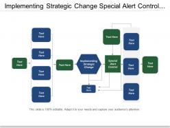 Implementing strategic change special alert control leap control