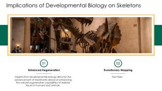 Implications Of Developmental Biology On Skeletons PPT Sample ACP