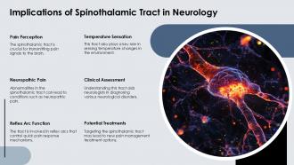 Implications Of Spinothalamic Tract In Neurology Information Carried PPT Sample ACP