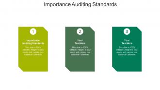 Importance auditing standards ppt powerpoint presentation file slide cpb