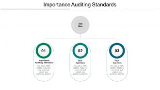 Importance auditing standards ppt powerpoint presentation icon images cpb
